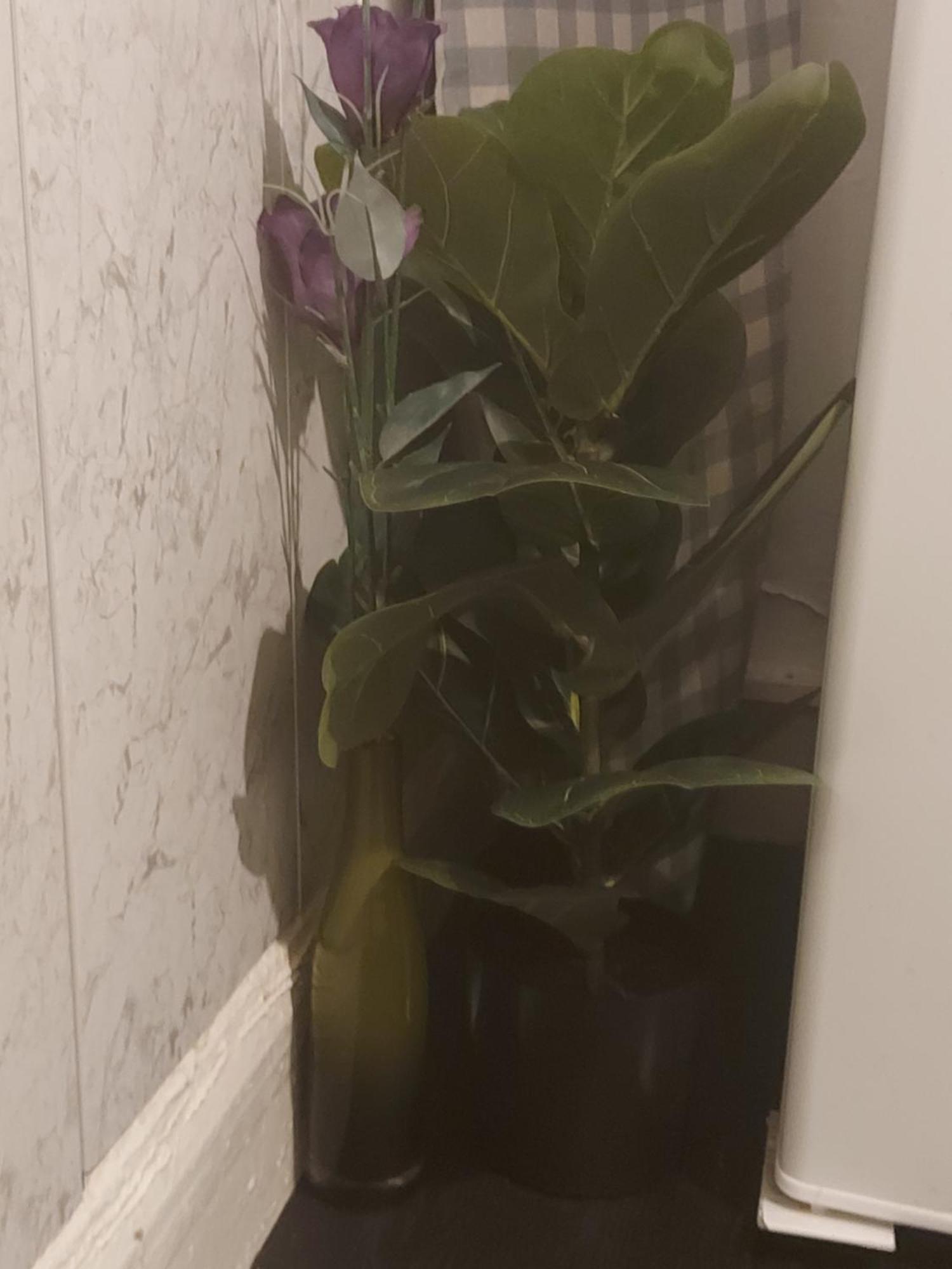 Private 1 Bed Flat Near The Aston Park Birmingham